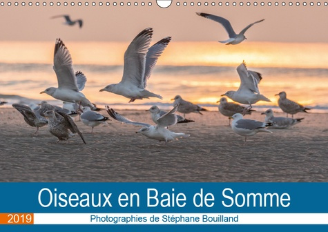 OISEAUX EN BAIE DE SOMME (CALENDRIER MURAL 2019 DIN A3 HORIZONTAL) - LES OISEAUX DE LA BAIE DE SOMME