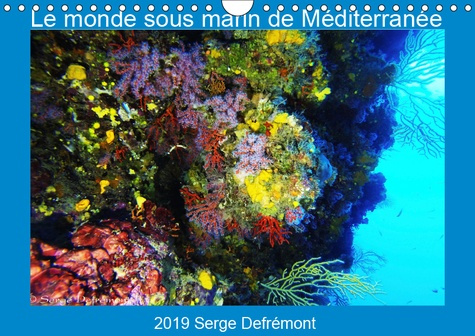 LE MONDE SOUS MARIN DE MEDITERRANEE (CALENDRIER MURAL 2019 DIN A4 HORIZONTAL) - LES MERVEILLES DE LA