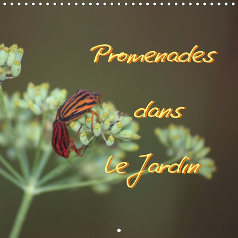 PROMENADES DANS LE JARDIN (CALENDRIER MURAL 2019 300 * 300 MM SQUARE) - COLLECTION DE FLEURS TYPIQUE