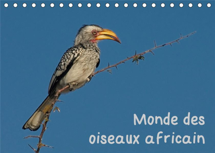 Monde des oiseaux africain (Calendrier chevalet 2020 DIN A5 horizontal). Des portraits d'oiseau fasc