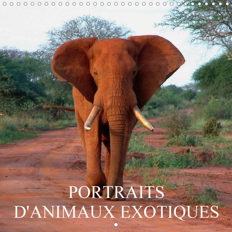 Portraits d'animaux exotiques (Calendrier mural 2020 300 × 300 mm Square). Rencontres avec des anima