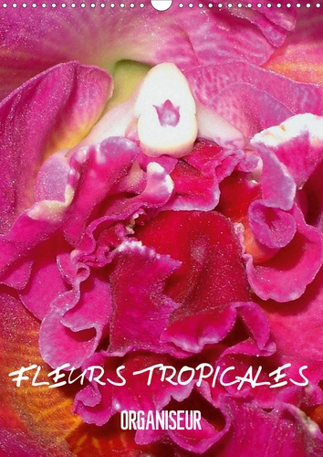 FLEURS TROPICALES / ORGANISEUR (CALENDRIER MURAL 2020 DIN A3 VERTICAL) - LA SPLENDEUR DES FLEURS TRO