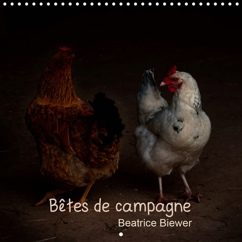 Bêtes de campagne (Calendrier mural 2020 300 × 300 mm Square). Des animaux de nos campagnes (Calendr
