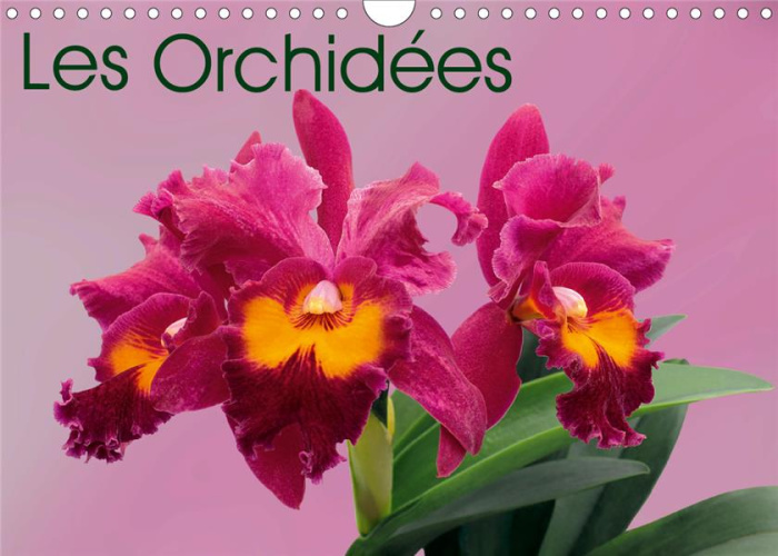 LES ORCHIDEES (CALENDRIER MURAL 2020 DIN A4 HORIZONTAL) - LES ORCHIDEES EXOTIQUES (CALENDRIER MENSUE