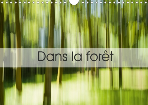 Dans la forêt (Calendrier mural 2020 DIN A4 horizontal). Une suite d'images prises en Creuse... (Cal