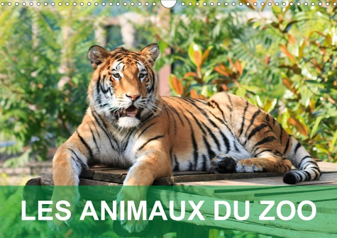 LES ANIMAUX DU ZOO (CALENDRIER MURAL 2020 DIN A3 HORIZONTAL) - CALENDRIER AVEC DES PHOTOS TENDRES ET