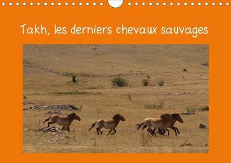 Takh, les derniers chevaux sauvages (Calendrier mural 2020 DIN A4 horizontal). Nom mongol de ce chev