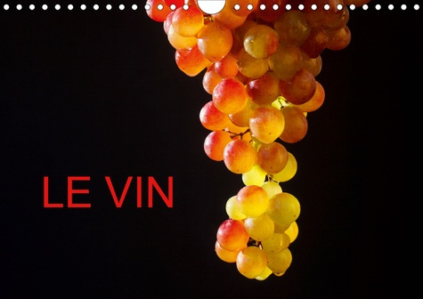 LE VIN (CALENDRIER MURAL 2020 DIN A4 HORIZONTAL) - DE BELLES PHOTOS AUTOUR DU VIN (CALENDRIER MENSUE