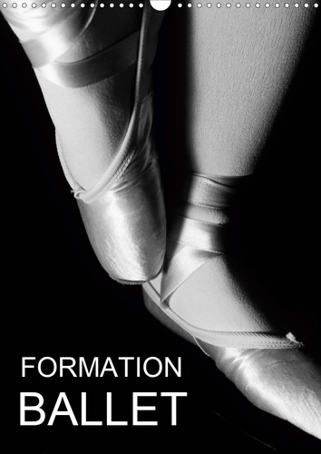 Formation Ballet (Calendrier mural 2020 DIN A3 vertical). Photos de cours de ballet et de chaussons