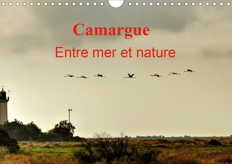 Camargue Entre mer et nature (Calendrier mural 2020 DIN A4 horizontal). Au cœur de la Camargue, entr