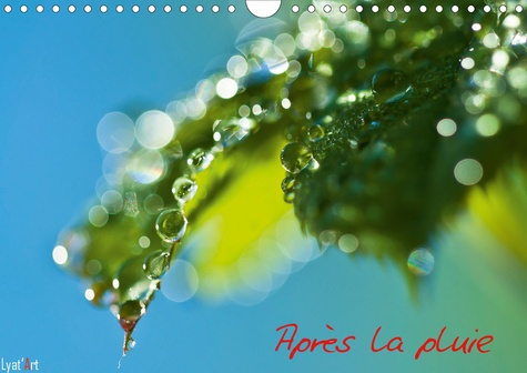 APRES LA PLUIE (CALENDRIER MURAL 2020 DIN A4 HORIZONTAL) - CALENDRIER MURAL 14 PAGES SUR LE THEME DE