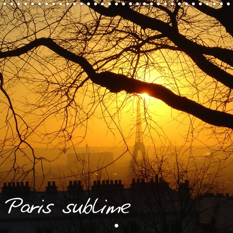 Paris sublime (Calendrier mural 2020 300 × 300 mm Square). Calendrier avec des photos sublimes de Pa