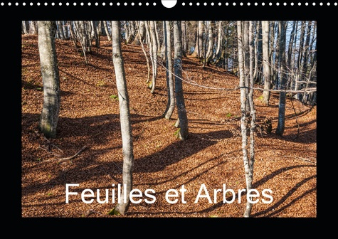 Feuilles et Arbres (Calendrier mural 2020 DIN A3 horizontal). Captivé par les saisons (Calendrier me