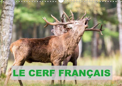 LE CERF FRANCAIS (CALENDRIER MURAL 2020 DIN A3 HORIZONTAL) - PHOTOS DE CERFS EN FRANCE (CALENDRIER M