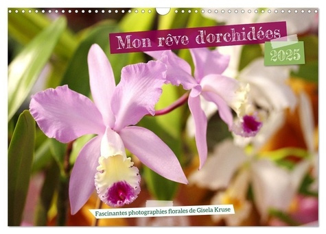 Mon rêve d'orchidées (Calendrier mural 2025 DIN A3 vertical), CALVENDO calendrier mensuel. Des fleur