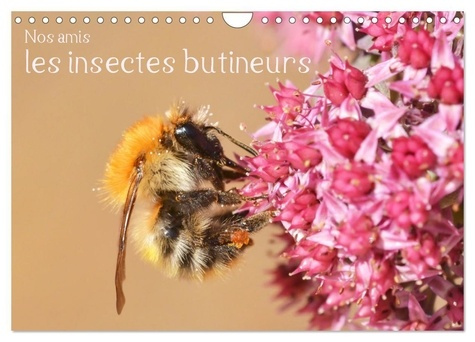Nos amis, les insectes butineurs (Calendrier mural 2025 DIN A4 vertical), CALVENDO calendrier mensue