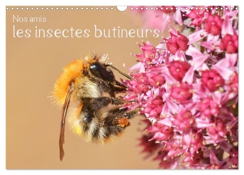 Nos amis, les insectes butineurs (Calendrier mural 2025 DIN A3 vertical), CALVENDO calendrier mensue