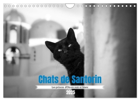 Chats de Santorin - Les princes d'Oia en noir et blanc (Calendrier mural 2025 DIN A4 vertical), CALV
