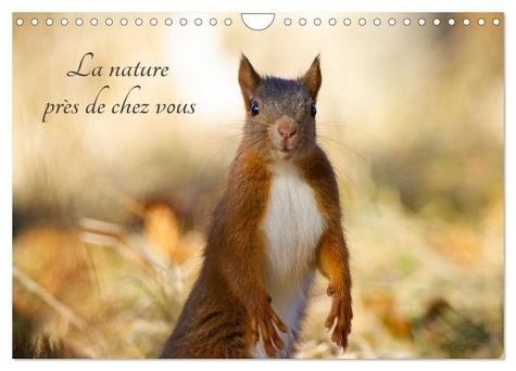 La nature près de chez vous (Calendrier mural 2025 DIN A4 vertical), CALVENDO calendrier mensuel. Le