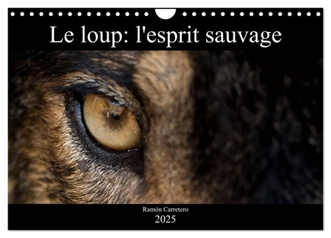 Le loup: l'esprit sauvage (Calendrier mural 2025 DIN A4 vertical), CALVENDO calendrier mensuel. Des