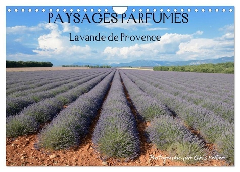 Paysages parfumés - Lavende de Provence (Calendrier mural 2025 DIN A4 vertical), CALVENDO calendrier