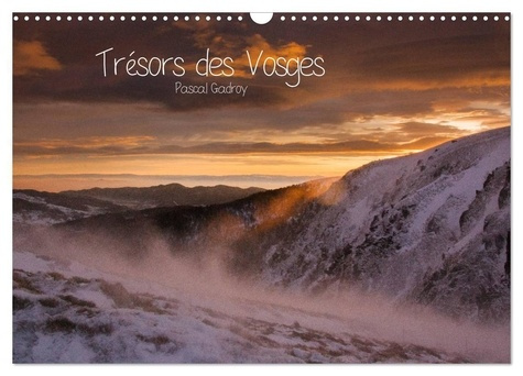 Trésors des Vosges (Calendrier mural 2025 DIN A3 vertical), CALVENDO calendrier mensuel. Faune et pa