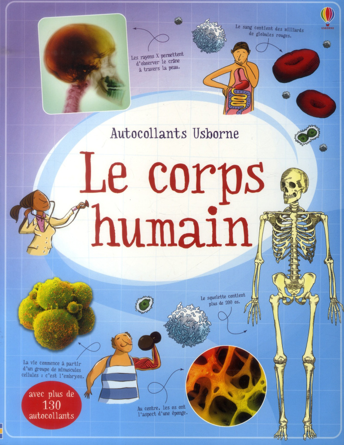 Le corps humain