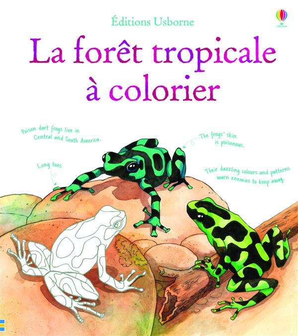 Faune et flore de la forêt tropicale à colorier