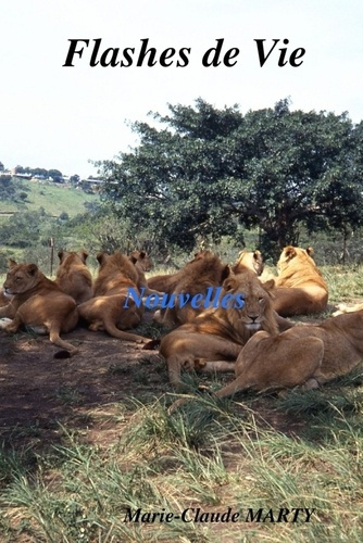 Flashes de Vie