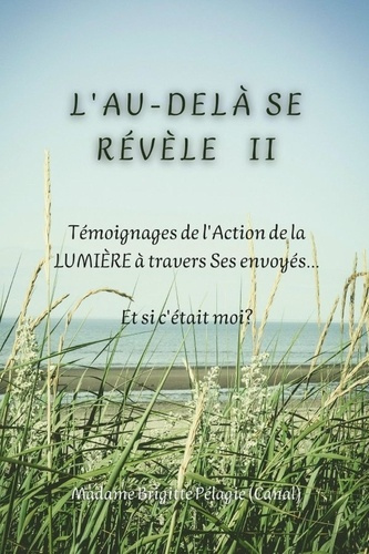 L'AU-DELÀ SE RÉVÈLE II (couverture souple). Témoignages de l'Action de la LUMIÈRE sur Terre à trave