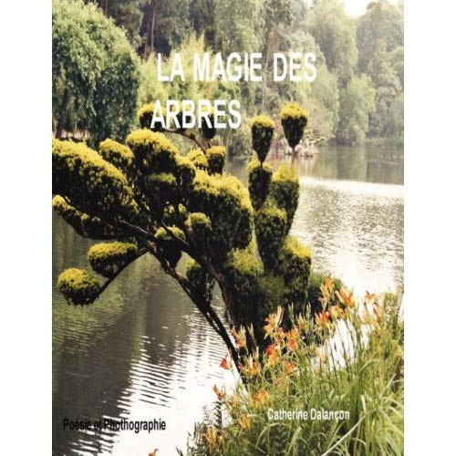 La magie des arbres