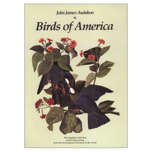 BIRDS OF AMERICA