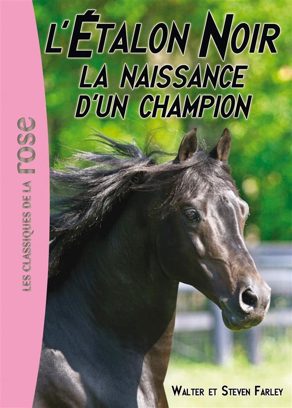 L'Etalon Noir Tome 19 : La naissance d'un champion