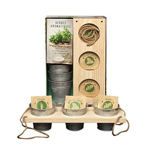 Coffret herbes aromatiques. Faites pousser des herbes aromatiques dans votre cuisine