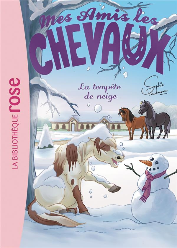 Mes amis les chevaux Tome 25 : La tempête de neige