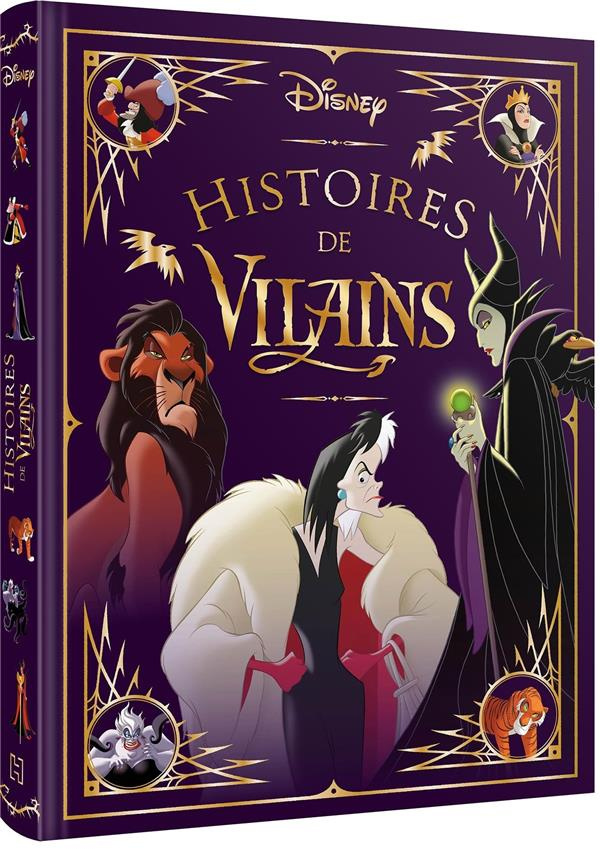 Histoires de Vilains