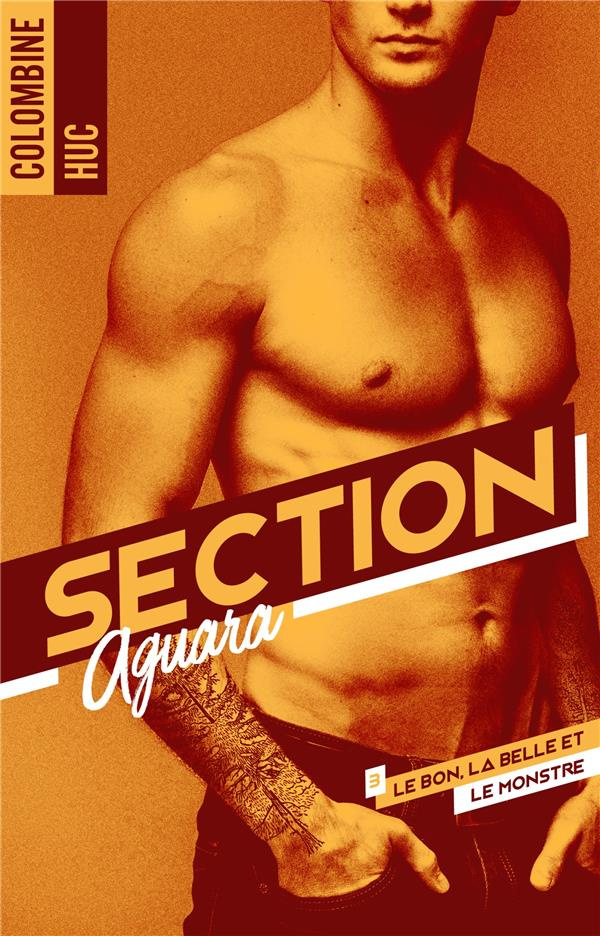 Section Aguara Tome 3