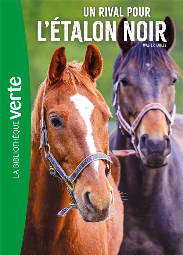 L'Etalon Noir Tome 14 : Un rival pour l'étalon noir