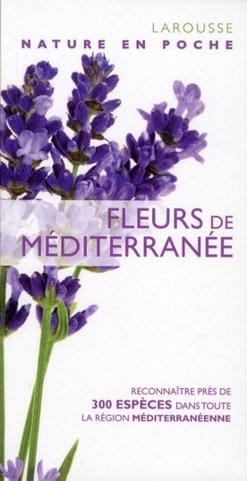 Fleurs de méditerranée