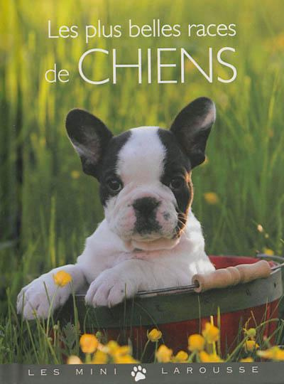 Les plus belles races de chiens