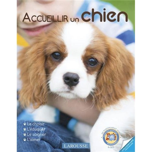 Accueillir un chien