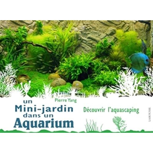 Un mini-jardin dans un aquarium