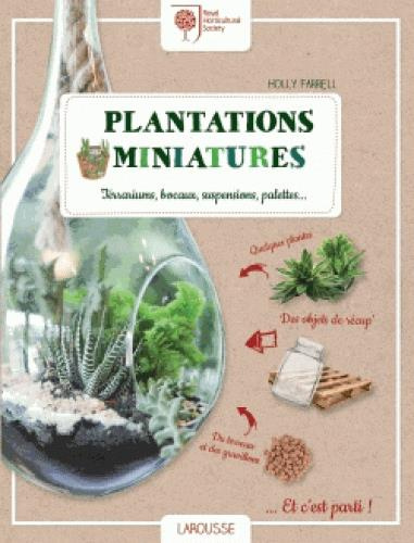 Plantations miniatures. Terrariums, bocaux, suspensions, palettes
