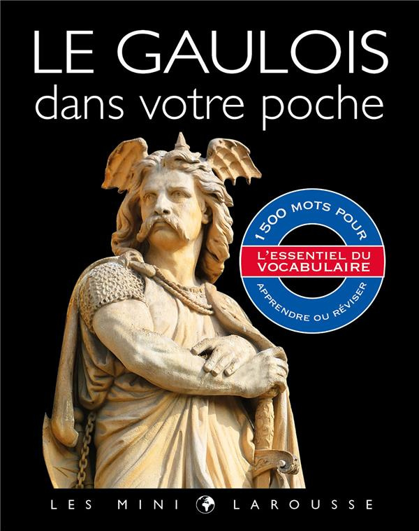 Dictionnaire de Gaulois illustré