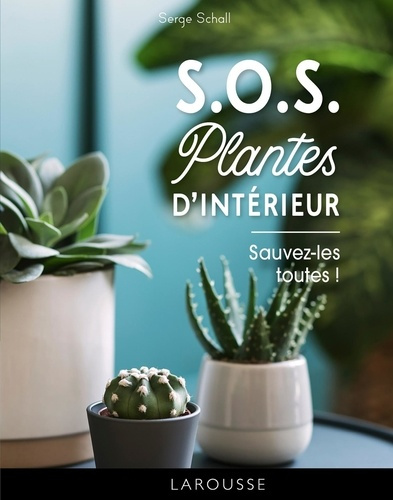 50 règles d'or plantes d'intérieur