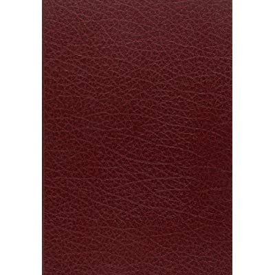 LA ROSE, RENART ET LE GRAAL. LA LITTERATURE ALLEGORIQUE EN FRANCE AU XIIIE SIECLE.