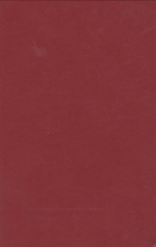 DUPLICITE DE RIMBAUD.