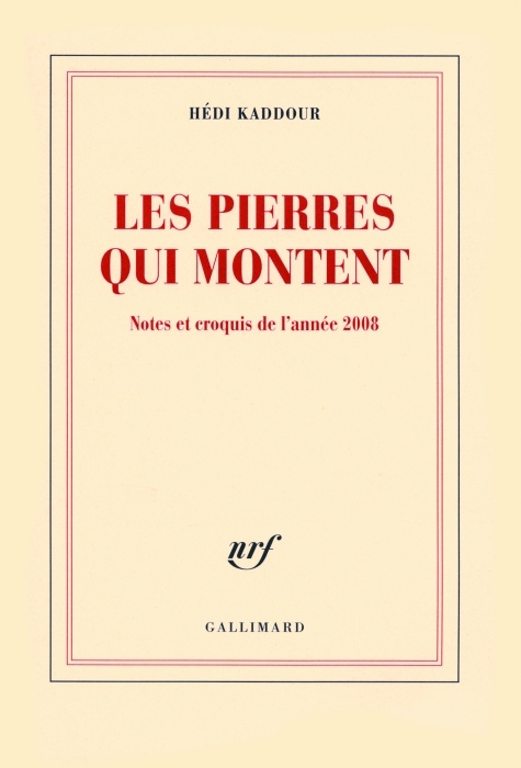 Les pierres qui montent. Notes et croquis de l'année 2008