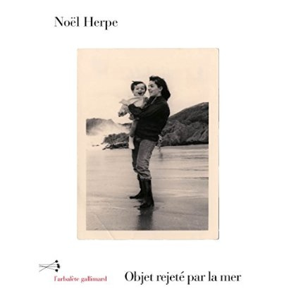 Objet rejeté par la mer. Journal 2014-2015