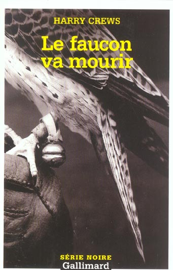 Le faucon va mourir